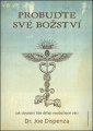 Probuďte své božství: Jak obyčejní lidé dělají neobyčejné věci